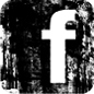 Andrea Landi Facebook